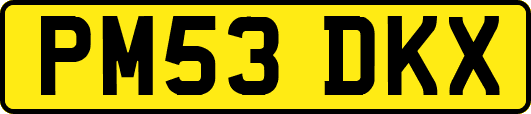 PM53DKX