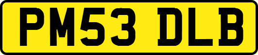 PM53DLB