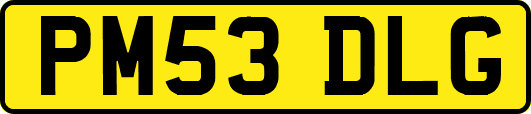 PM53DLG