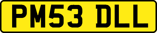 PM53DLL