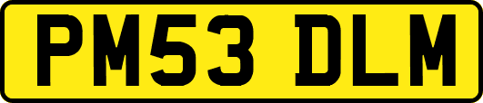 PM53DLM