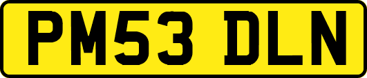 PM53DLN