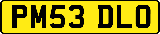 PM53DLO