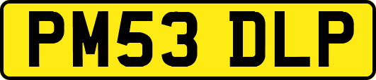 PM53DLP