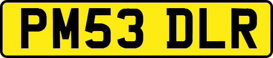 PM53DLR