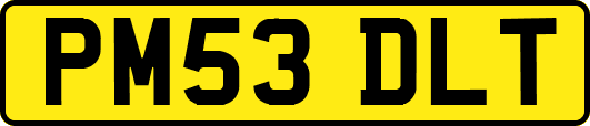 PM53DLT