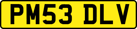 PM53DLV
