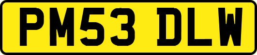 PM53DLW