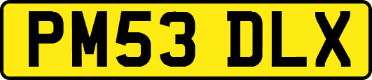 PM53DLX