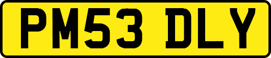 PM53DLY