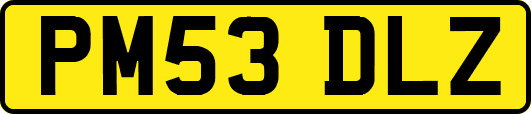 PM53DLZ