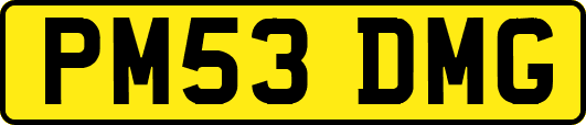 PM53DMG