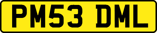 PM53DML