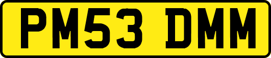 PM53DMM