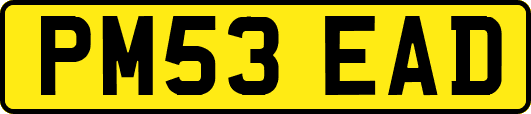 PM53EAD