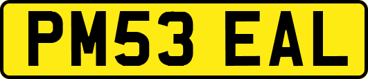 PM53EAL