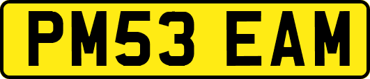 PM53EAM