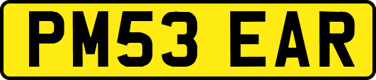 PM53EAR