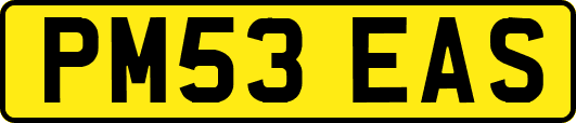 PM53EAS
