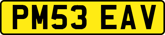 PM53EAV