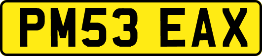PM53EAX