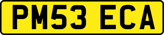 PM53ECA