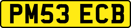 PM53ECB