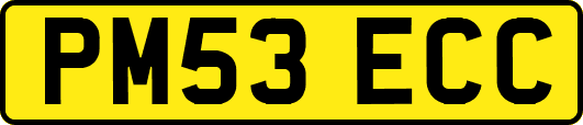 PM53ECC