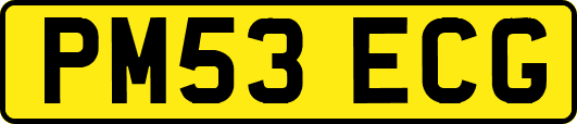 PM53ECG
