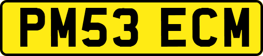 PM53ECM