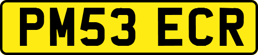 PM53ECR