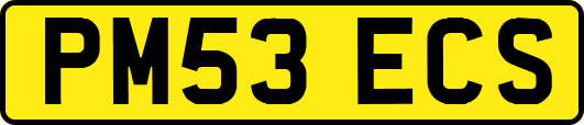 PM53ECS