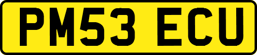 PM53ECU