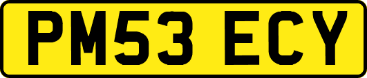 PM53ECY