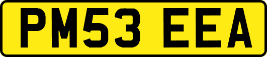 PM53EEA