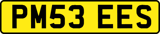PM53EES