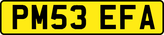 PM53EFA