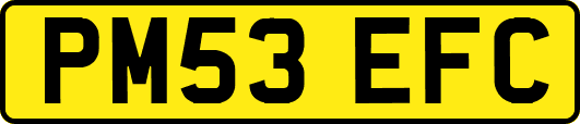 PM53EFC