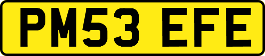 PM53EFE