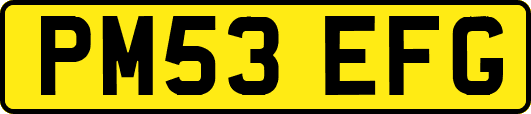 PM53EFG