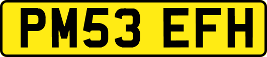 PM53EFH
