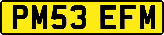 PM53EFM