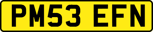 PM53EFN