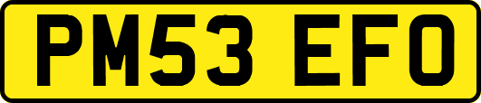 PM53EFO