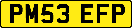 PM53EFP