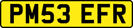 PM53EFR