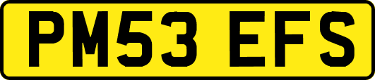 PM53EFS
