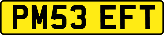 PM53EFT