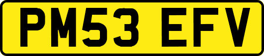 PM53EFV