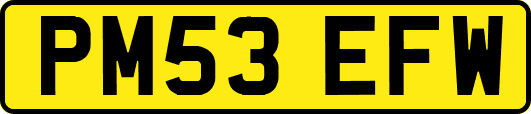 PM53EFW